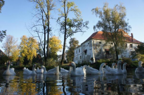 Piotrowice Nyskie Palace